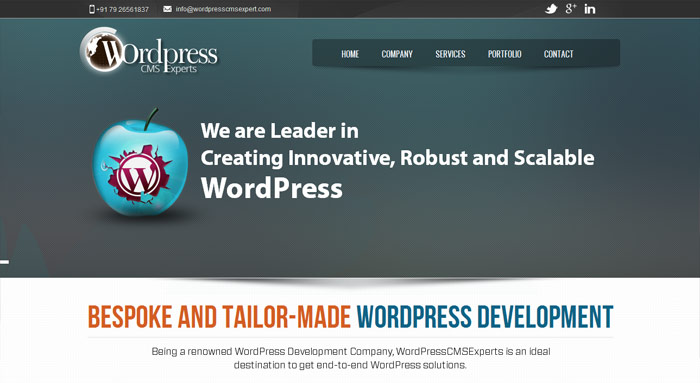 WordPress CMS Experts