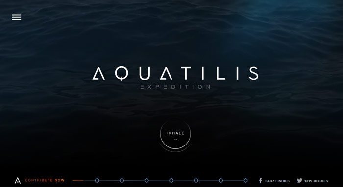 Aquatilis